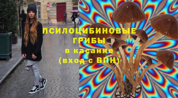 PSILOCYBIN Нефтекумск