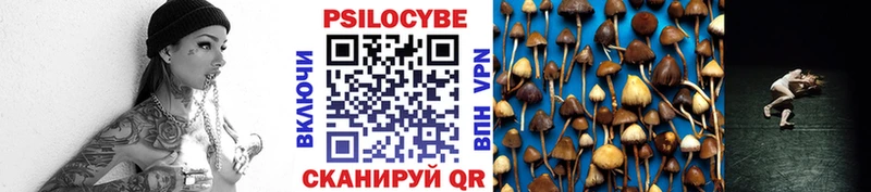 Галлюциногенные грибы ЛСД  наркотики  Кашин 